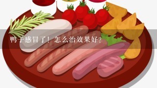 鸭子感冒了！怎么治效果好？