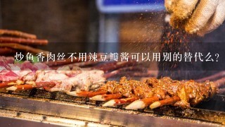 炒鱼香肉丝不用辣豆瓣酱可以用别的替代么？