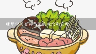 哪里学习豆芽苗菜的栽培和管理