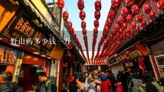 野山药多少钱一斤