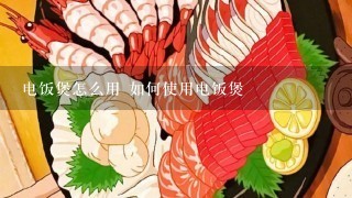 电饭煲怎么用 如何使用电饭煲