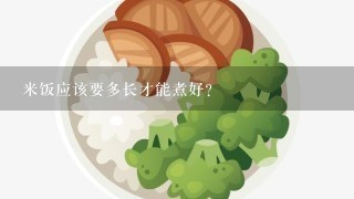 米饭应该要多长才能煮好？