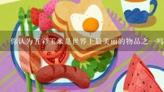 你认为五彩玉米是世界上最美丽的物品之一吗