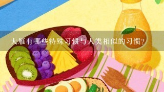 大雁有哪些特殊习惯与人类相似的习惯