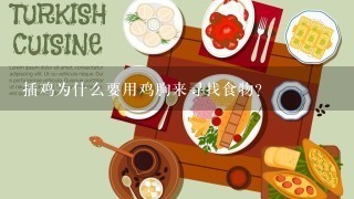 插鸡为什么要用鸡胸来寻找食物?